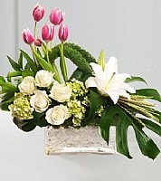 יפני מעוצב יפני מעוצב